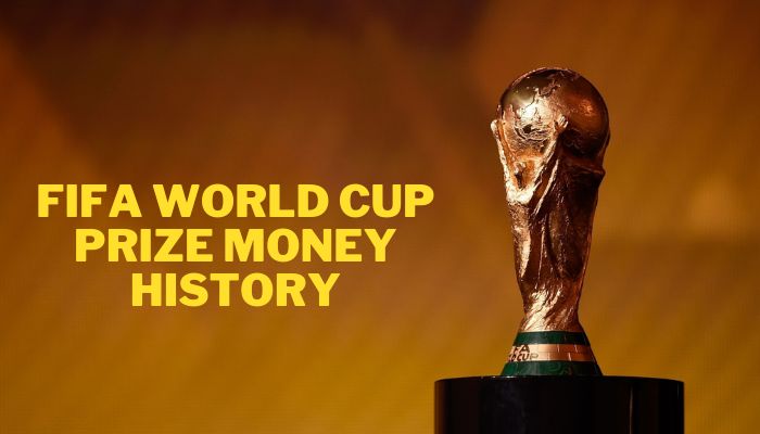 Historie odměn na mistrovství světa ve fotbale