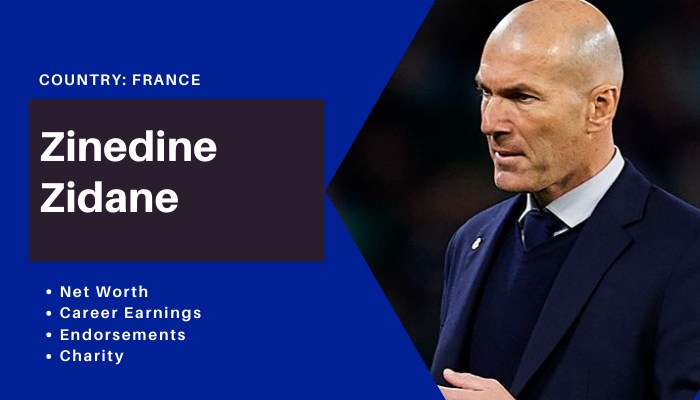 Zinedine Zidane Net Değeri