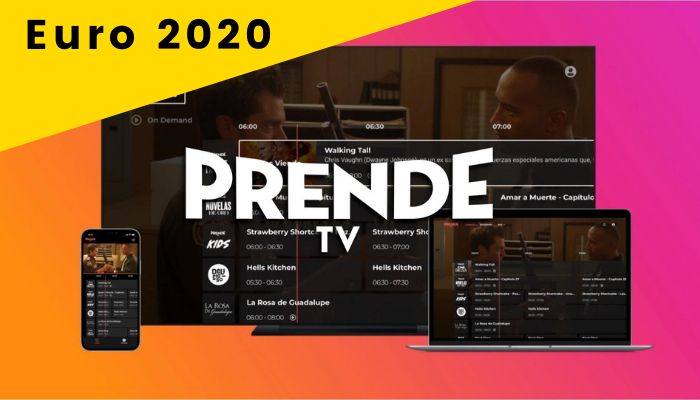 Univision's Euro 2022 Broadcast Plans