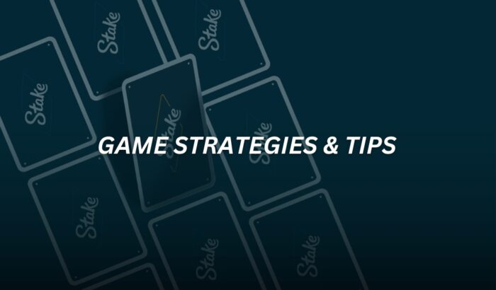 Game Strategies and Tips stake